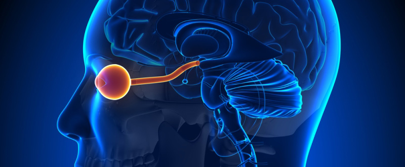 NeuroOphthalmology